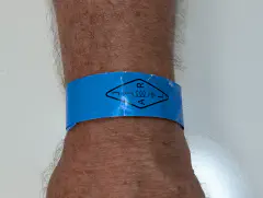 No badges this year, but a wristband that was valid for entry both days.